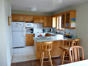 Original-Dans-le-Lakehouse_kitchens-under-5000-before.jpg.rend.hgtvcom.966.725